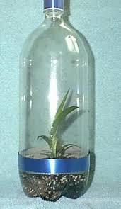 آموزش مدل تراریوم کوچک آموزش مدل تراریوم کوچک