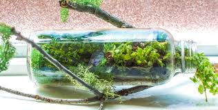 آموزش مدل تراریوم کوچک آموزش مدل تراریوم کوچک