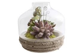 آموزش مدل ساخت تراریوم کوچک