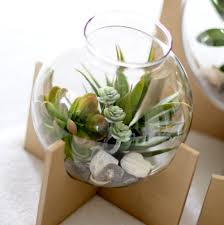 آموزش مدل ساخت تراریوم کوچک