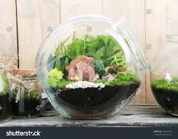 آموزش مدل ساخت تراریوم کوچک