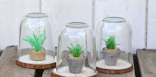 آموزش مدل ساخت تراریوم کوچک