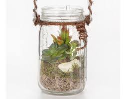 آموزش مدل ساخت تراریوم کوچک