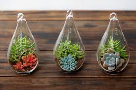 آموزش مدل ساخت تراریوم کوچک