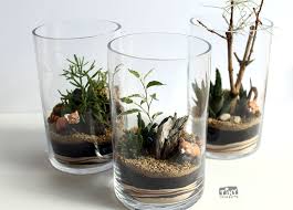 آموزش مدل ساخت تراریوم کوچک