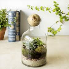 آموزش مدل تراریوم شیک و زیبا