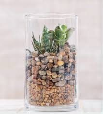 آموزش مدل تراریوم شیک و زیبا