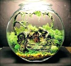 آموزش مدل تراریوم شیک و زیبا