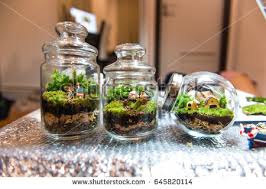 آموزش مدل تراریوم شیک و زیبا