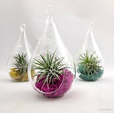 آموزش مدل تراریوم شیک و زیبا