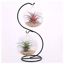 آموزش مدل تراریوم شیک کوچولو