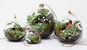 آموزش مدل تراریوم شیک کوچولو