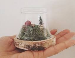 آموزش مدل تراریوم شیک کوچولو