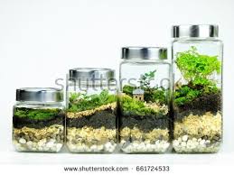 آموزش مدل تراریوم شیک کوچولو