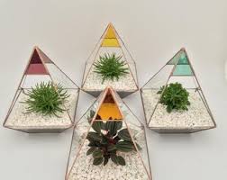 آموزش مدل تراریوم شیک کوچولو