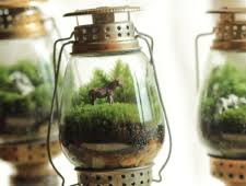 آموزش مدل تراریوم شیک کوچولو