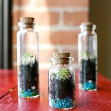 آموزش مدل تراریوم شیک کوچولو