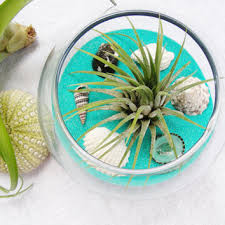 آموزش مدل های تراریوم با شن رنگی آموزش مدل های تراریوم با شن رنگی