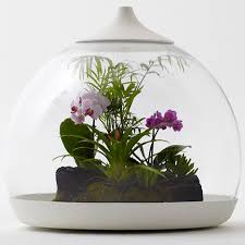 آموزش مدل گلخانه های کوچک