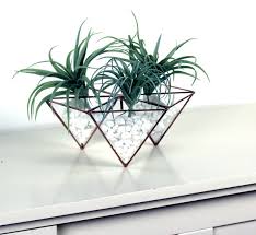 آموزش مدلهای گلخانه رومیزی آموزش مدلهای گلخانه رومیزی