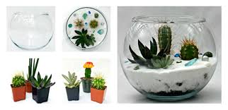 آموزش ساخت تراریوم