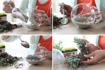 آموزش ساخت تراریوم