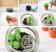 آموزش ساخت تراریوم