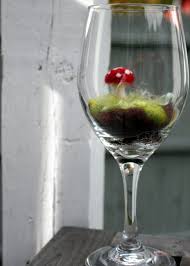 آموزش ساخت تراریوم با لیوان نوشیدنی