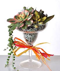 آموزش ساخت تراریوم با لیوان نوشیدنی