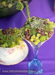 آموزش ساخت تراریوم با لیوان نوشیدنی