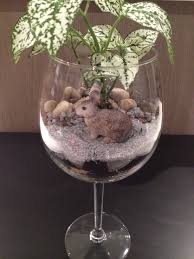 آموزش ساخت تراریوم با لیوان نوشیدنی