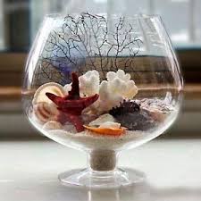 آموزش ساخت تراریوم با لیوان نوشیدنی