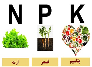 آموزش استفاده از کود NPK